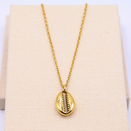 Halskette "Coffee Bean Muschel"